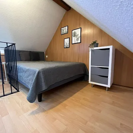 Bieler Mit Gartenblick Apartment Zweibruecken