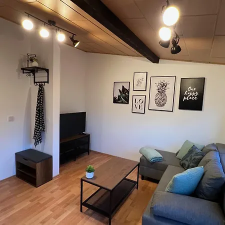 Bieler Mit Gartenblick Apartment Zweibruecken